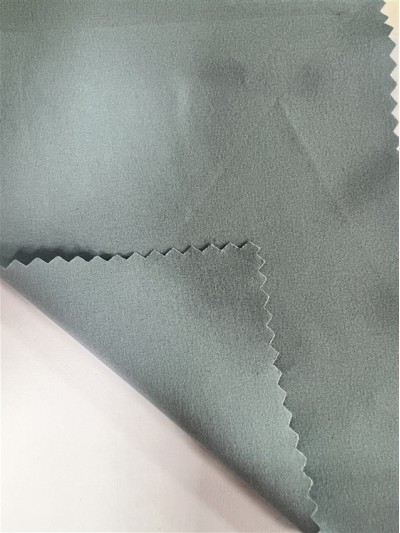 AD1352 Width: 150cm Composition: 96%Polyester 8%Spandex Elastic Anti-ultraviolet UPF50+ front view